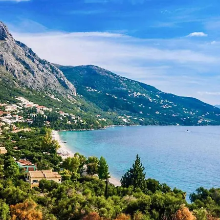 Zante *